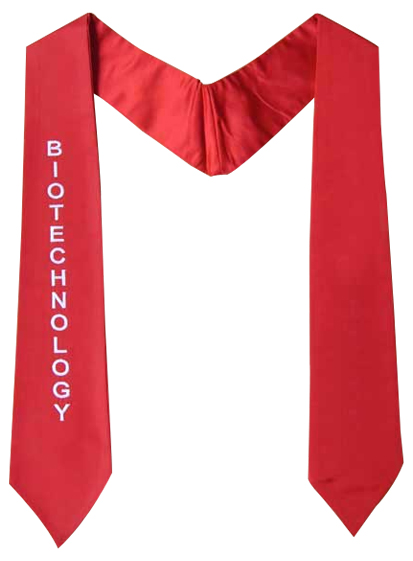 Graduation Stole - Stole, Sashes, Sash, Stoles Graduation Stole - Stole, Sashes, Sash, Stoles
